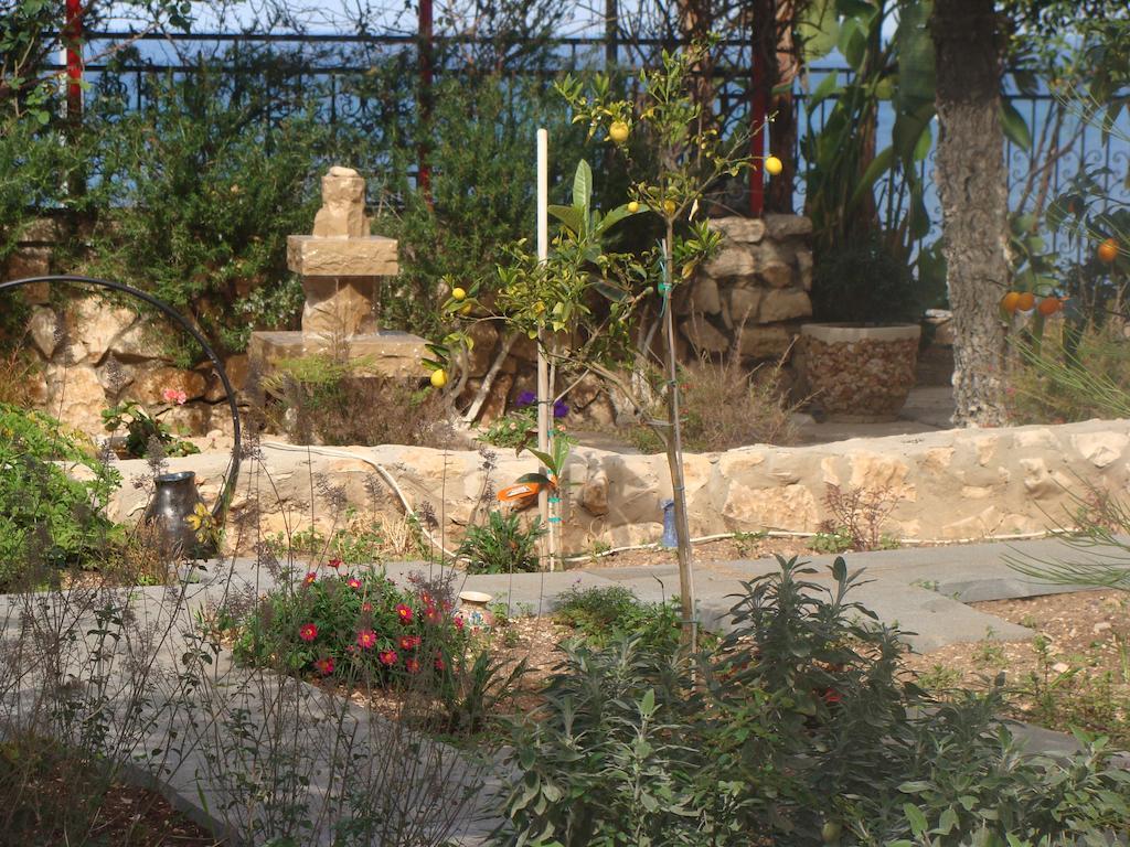 Tamer Guest House Hayfa Dış mekan fotoğraf