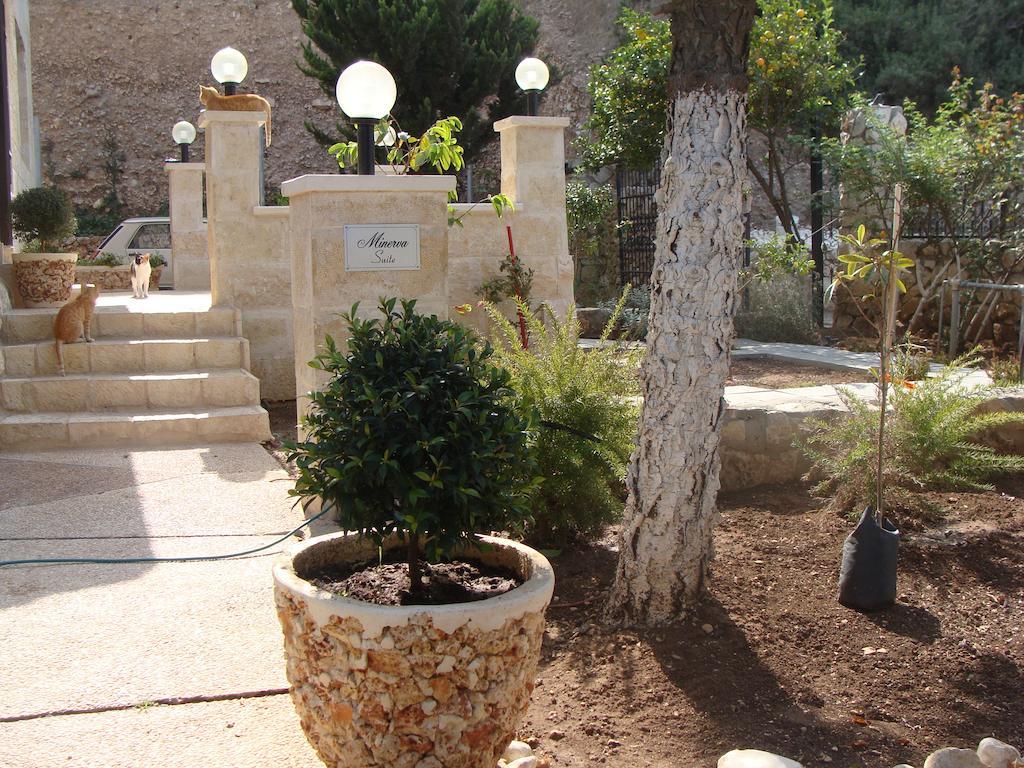 Tamer Guest House Hayfa Dış mekan fotoğraf