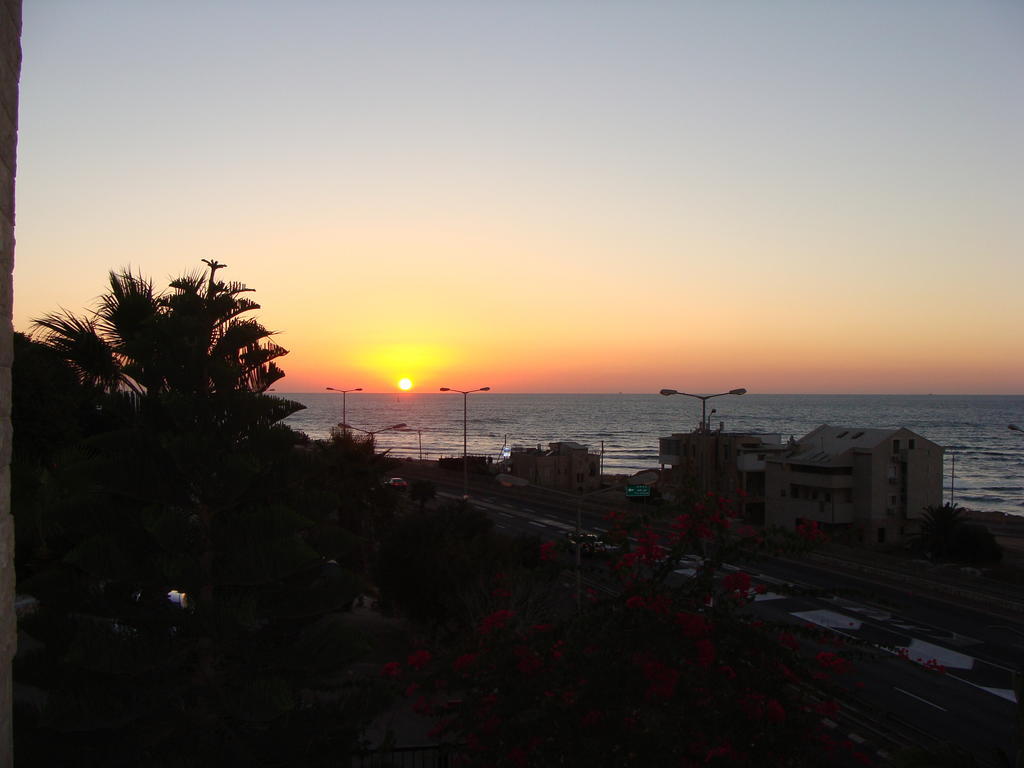 Tamer Guest House Hayfa Dış mekan fotoğraf