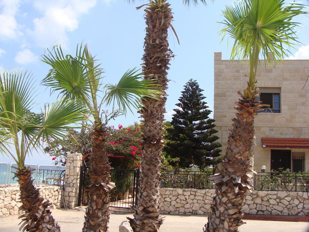 Tamer Guest House Hayfa Dış mekan fotoğraf