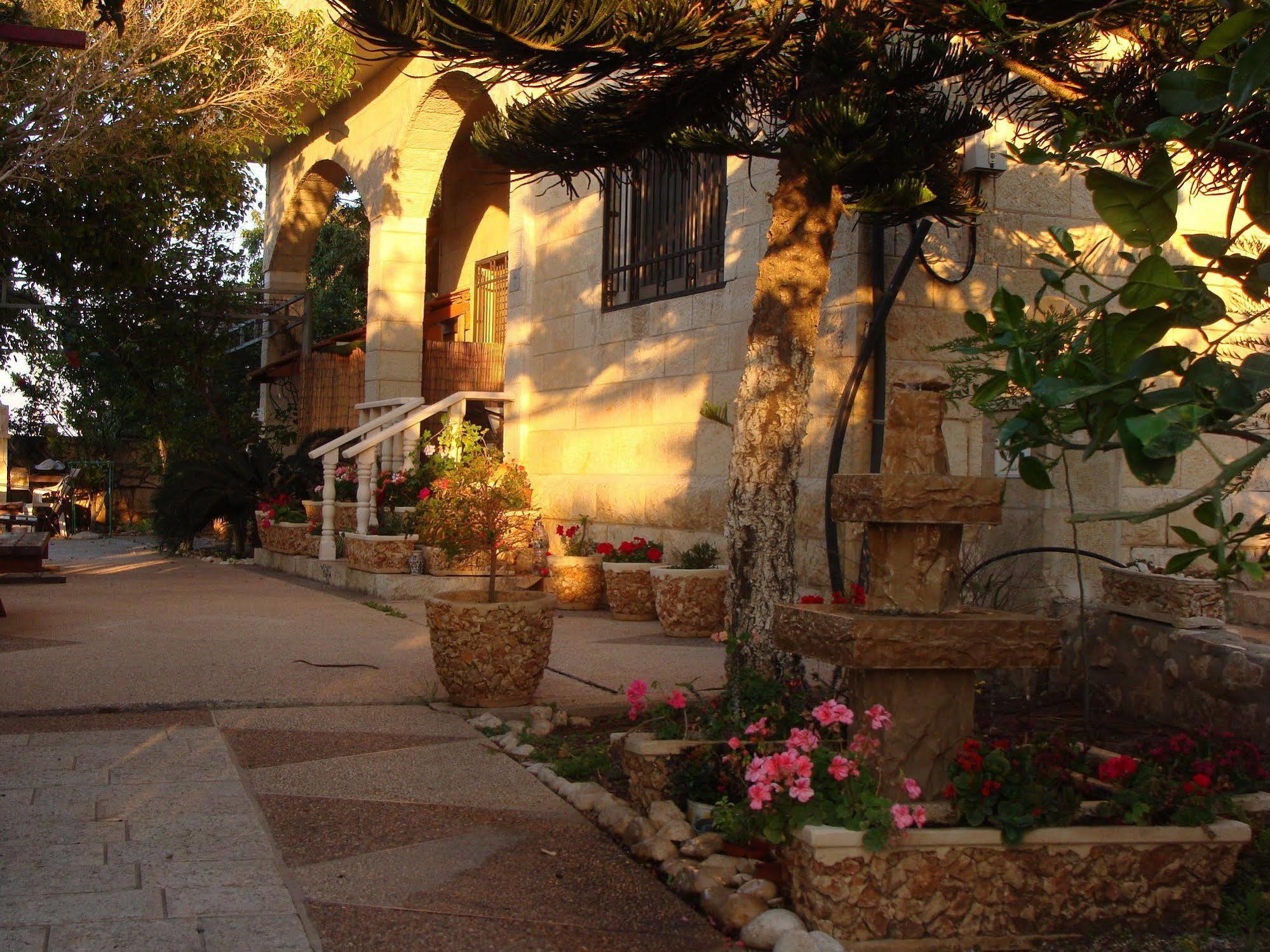 Tamer Guest House Hayfa Dış mekan fotoğraf