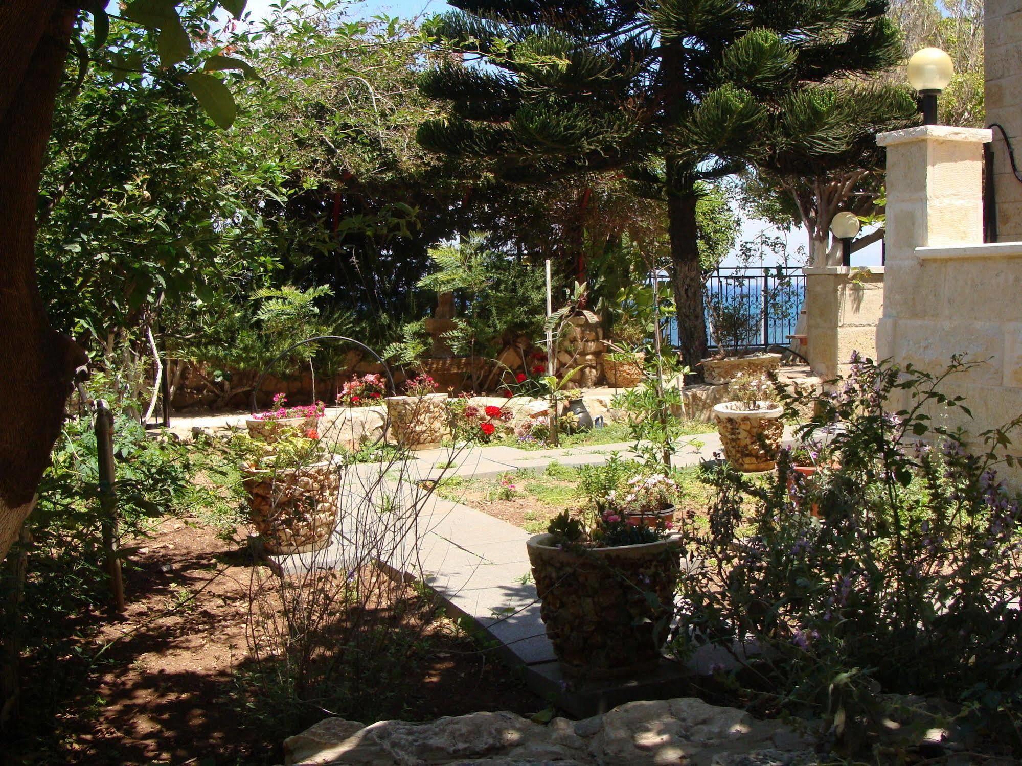 Tamer Guest House Hayfa Dış mekan fotoğraf