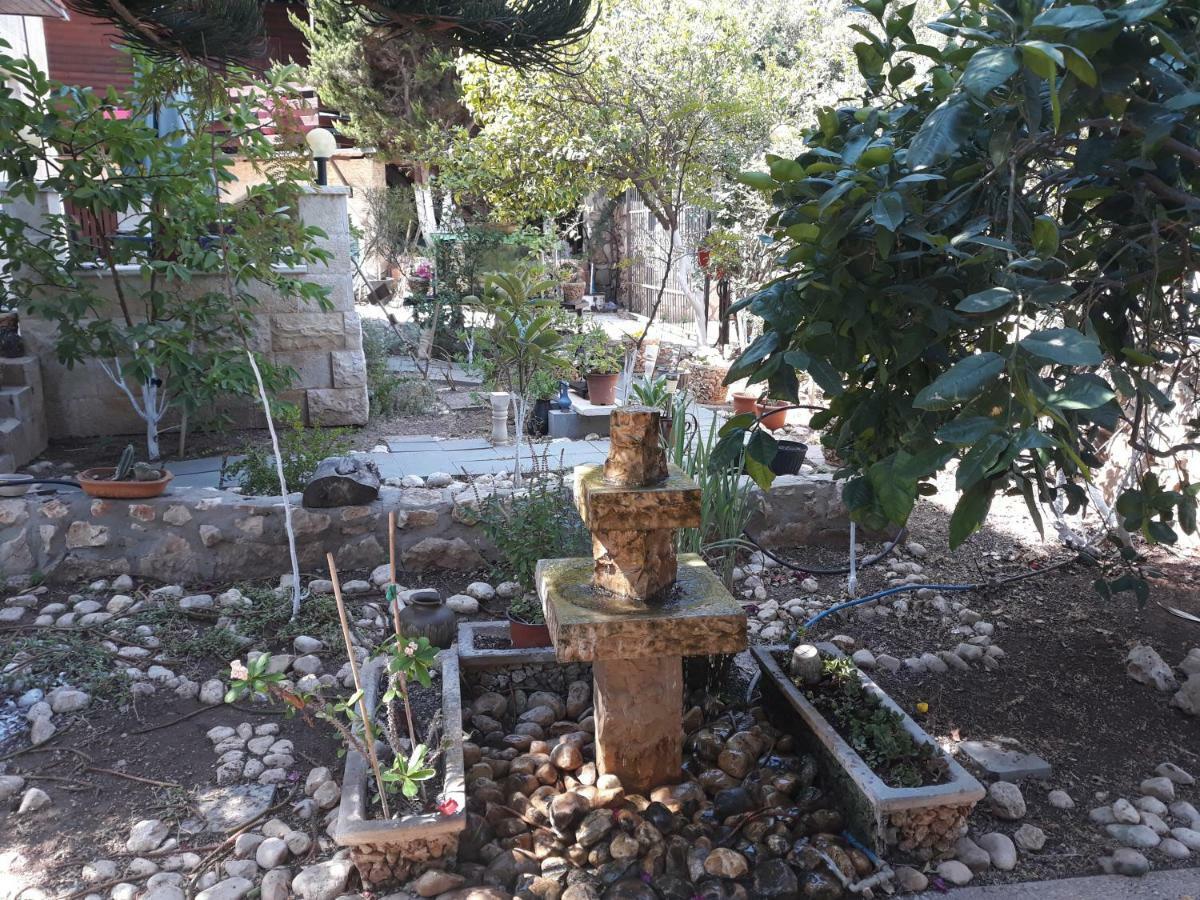 Tamer Guest House Hayfa Dış mekan fotoğraf